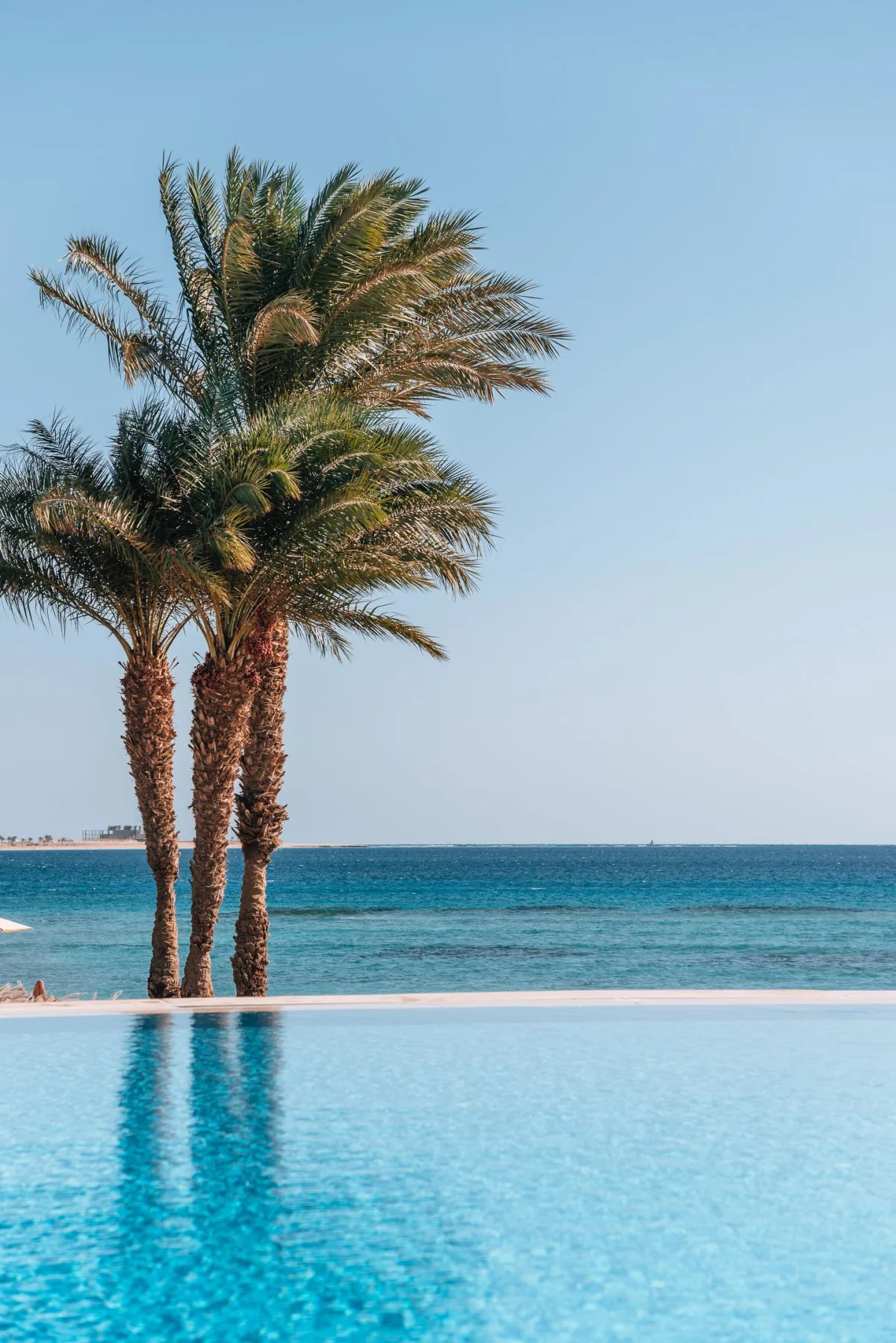 Baron Palace Sahl Hasheesh: фото отеля