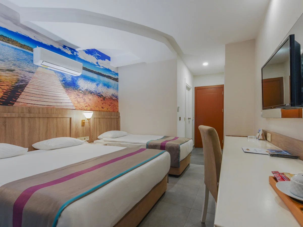 Standart Room  (стандартный двухместный номер с видом на территорию)