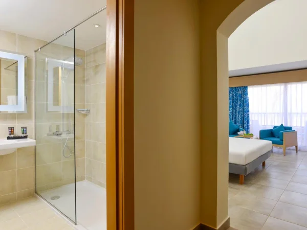 STANDARD ROOM WITH 1 QUEEN-SIZE BED, POOL SIDE (стандартный двухместный номер с видом на бассейн)