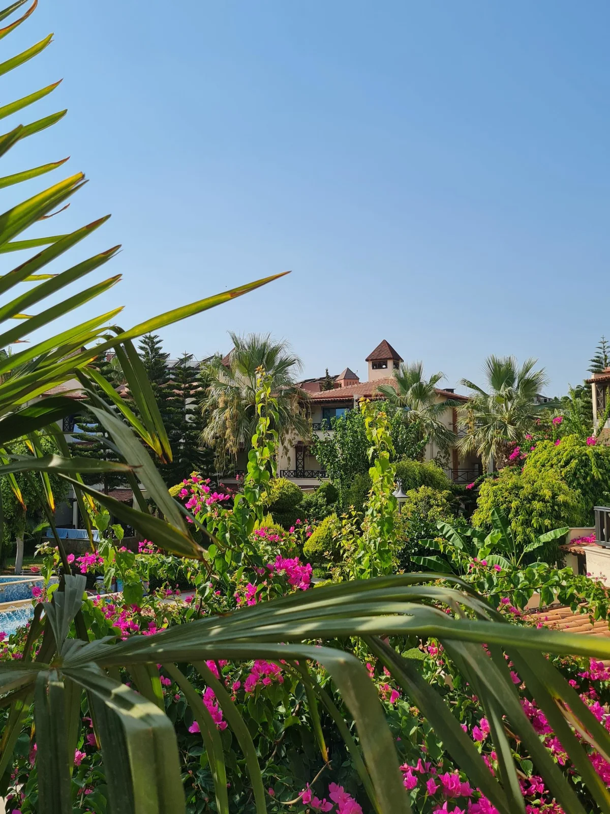 Saphir Hotel & Villas: фото отеля
