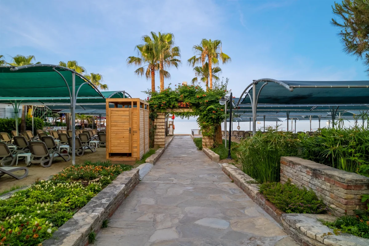Trendy Hotel Palm Beach: фото отеля