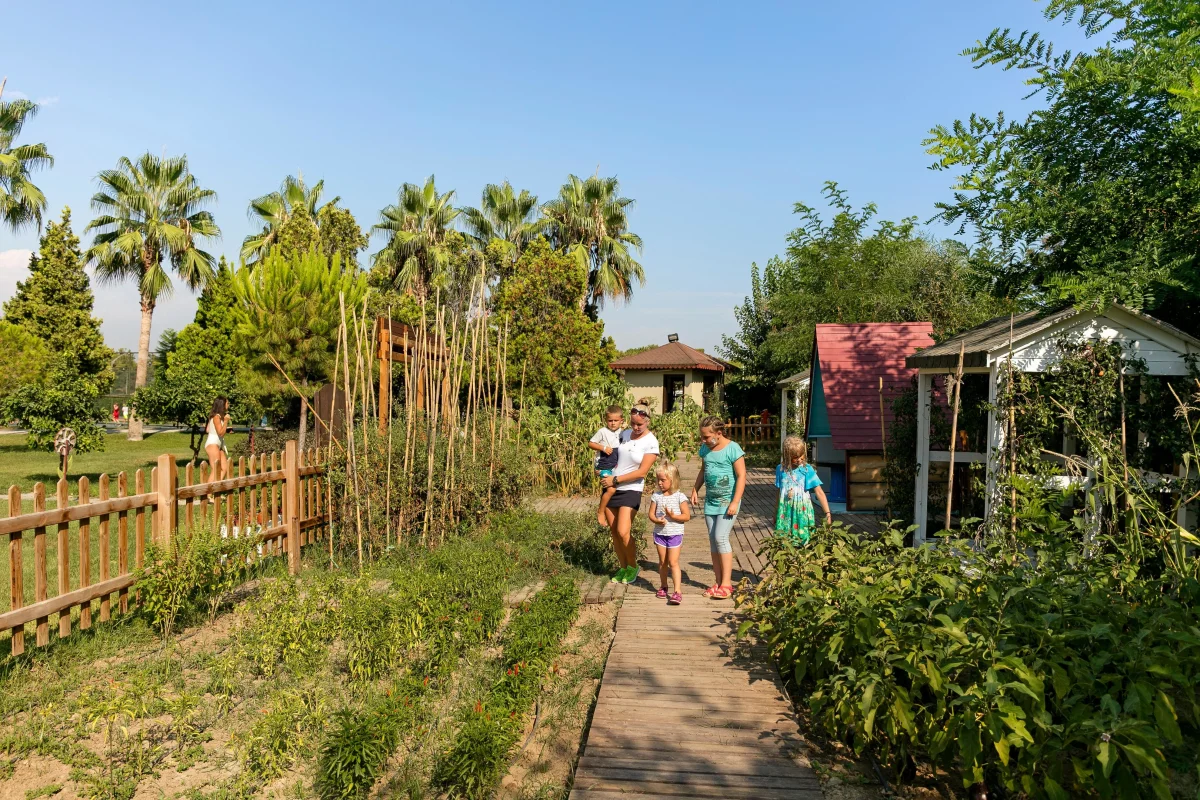 Marvida Family Eco фото 4