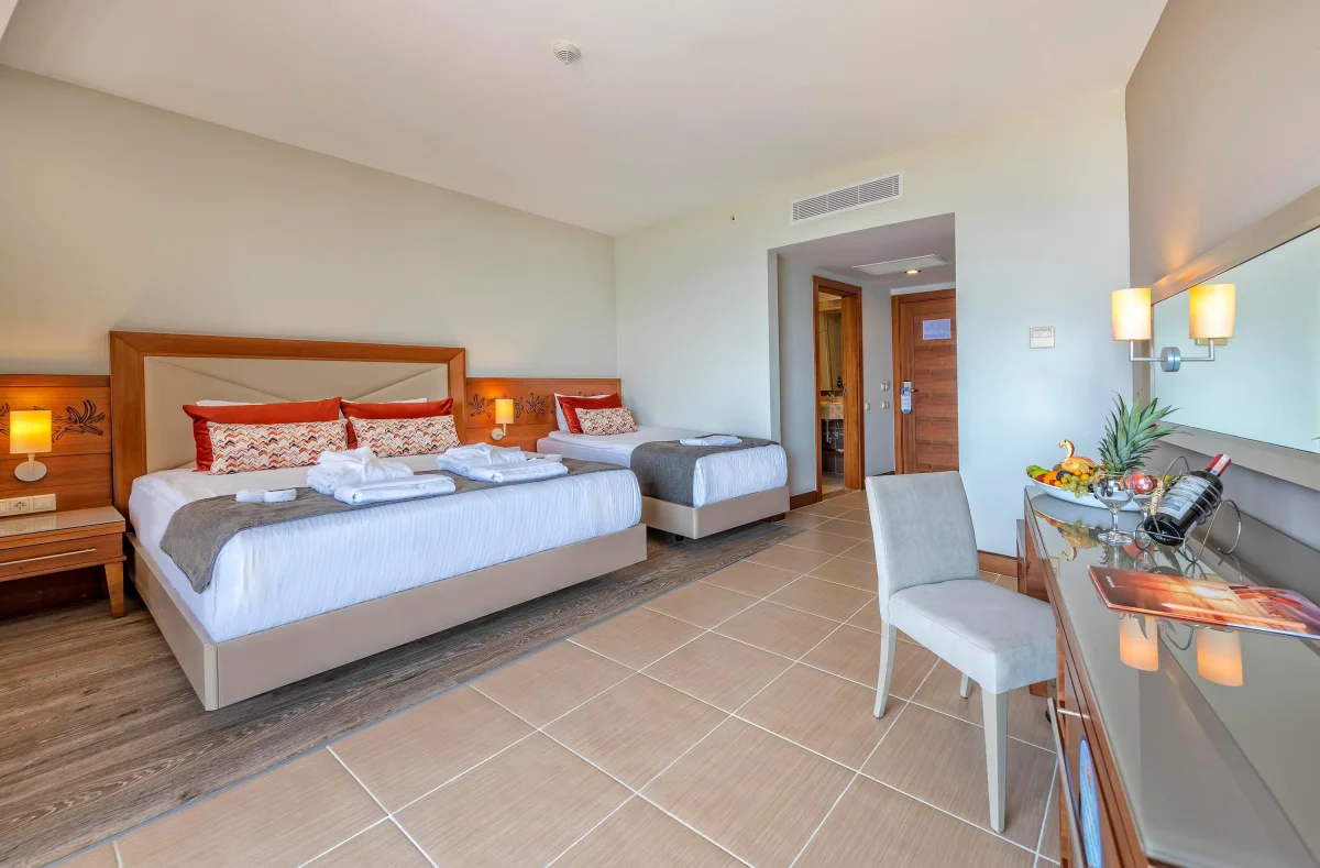 Junior Suite with Sea View (стандартный люкс с видом на море)