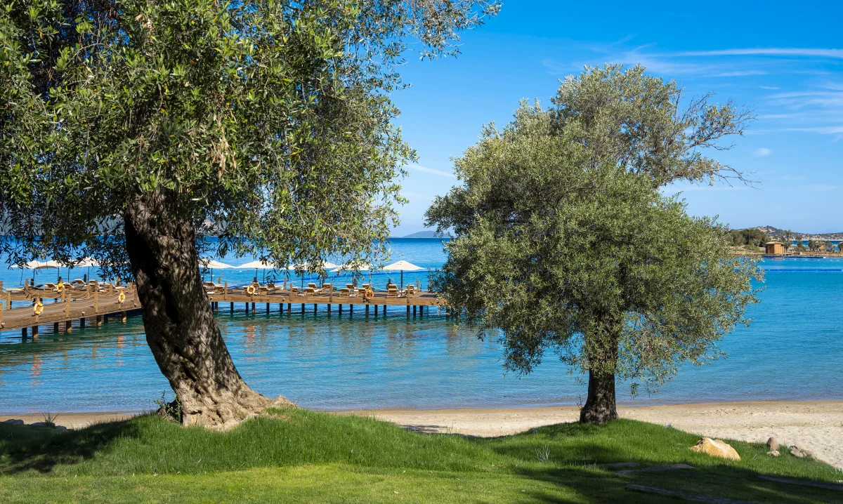 Территория отеля Rixos Premium Bodrum