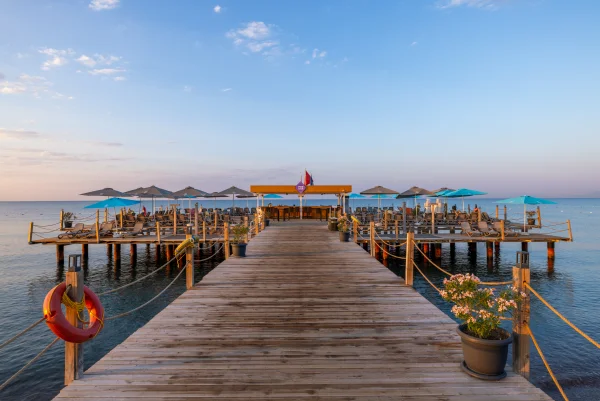 Pier Bar (бар на пирсе)