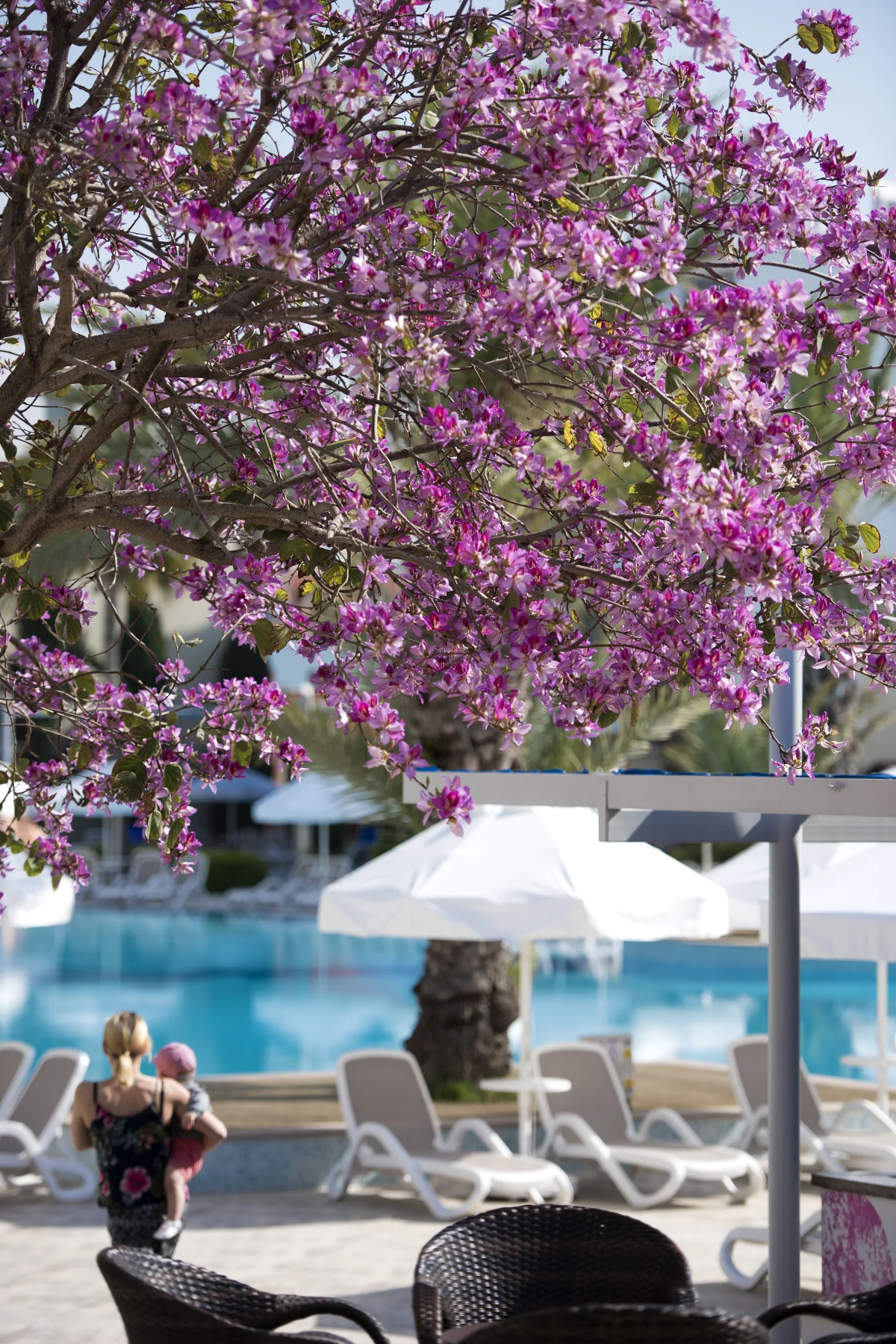Barut B Suites: фото отеля