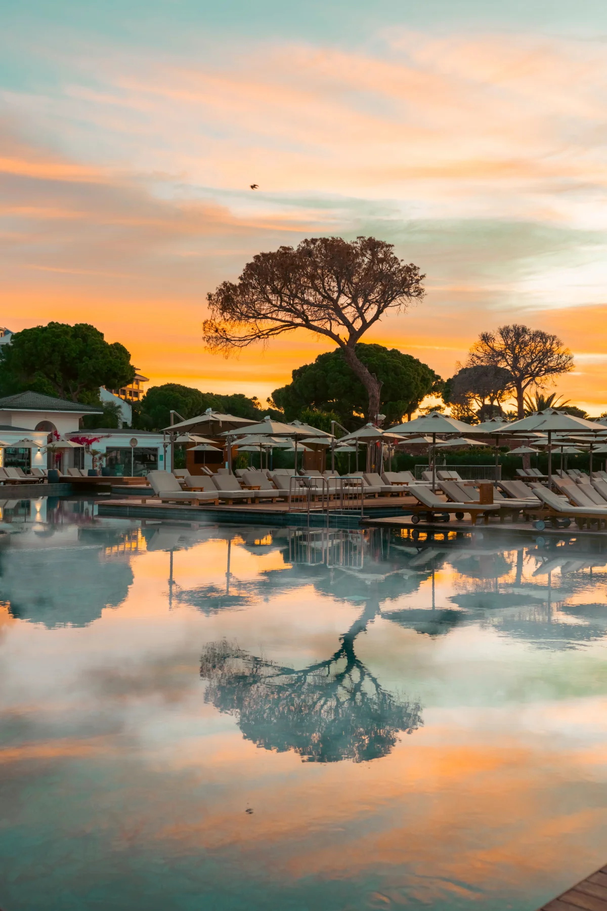 Rixos Park Belek: фото отеля