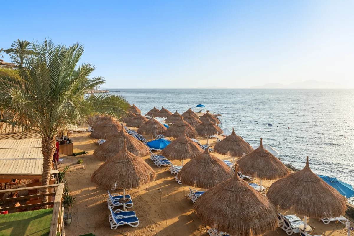 Pickalbatros Luxury Suites Resort фото 3