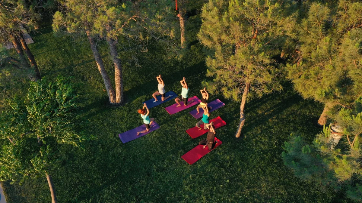 Развлечения Nirvana Mediterranean Excellence