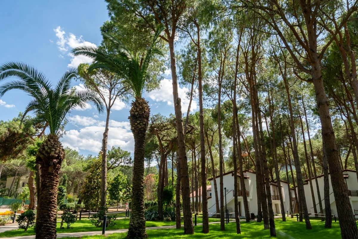 Baia Salima Kemer фото 4