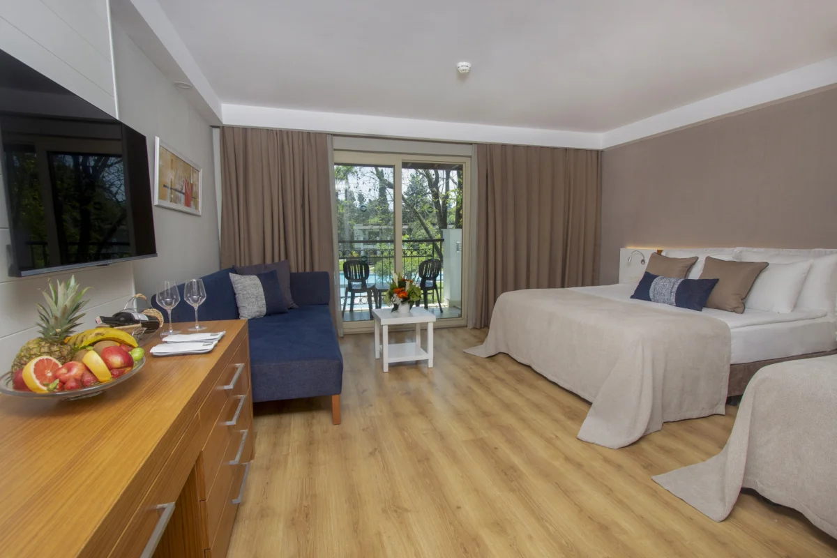 Deluxe Superior Room