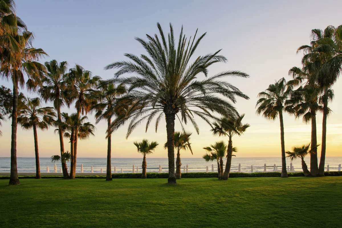 Acanthus & Cennet Barut Collection фото 3