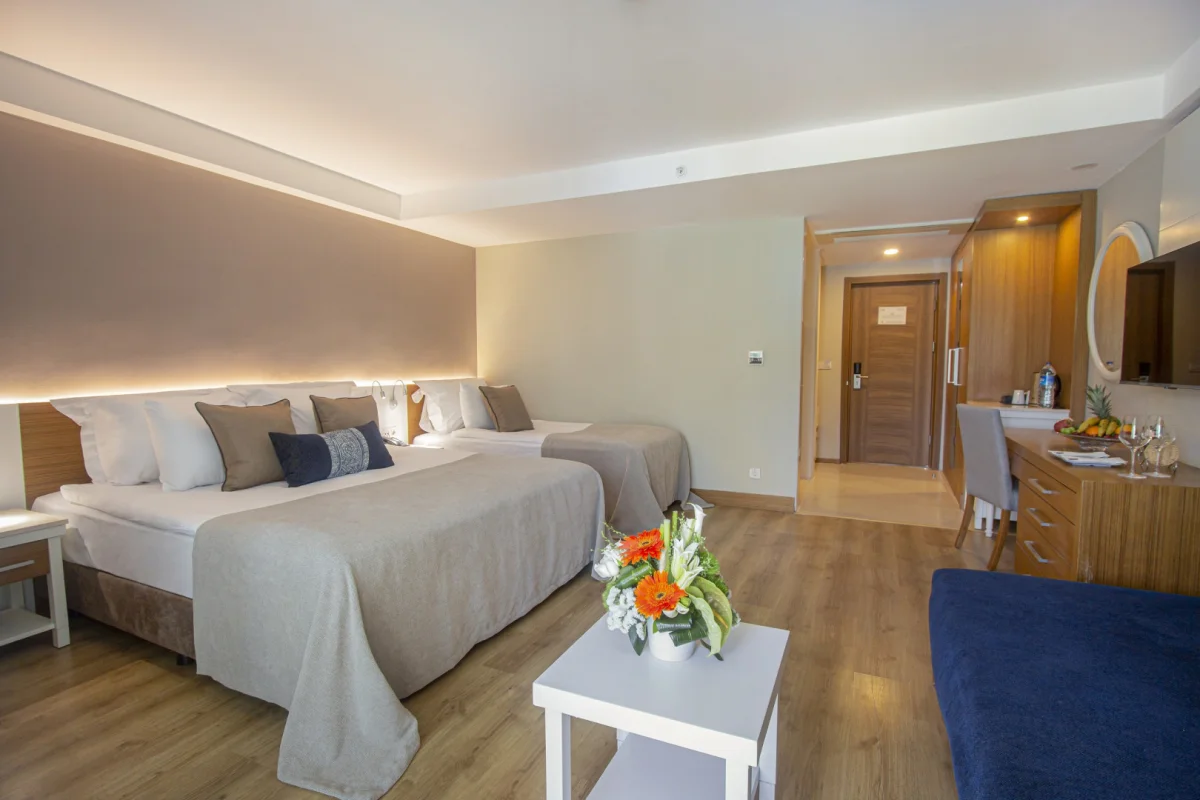 Deluxe Superior Room