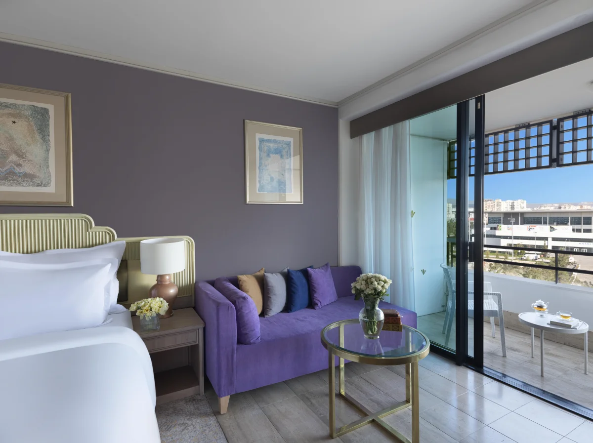 Comfort Room с видом на город (City View)
