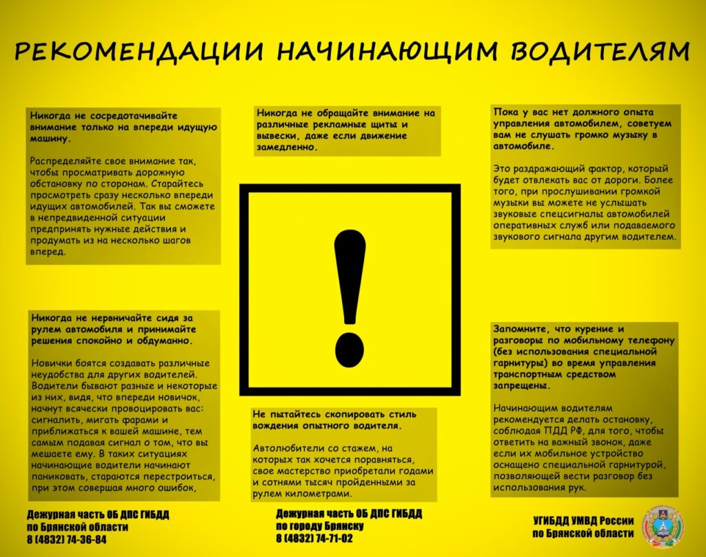 Знакомство с автомобилем: что важно знать новичку