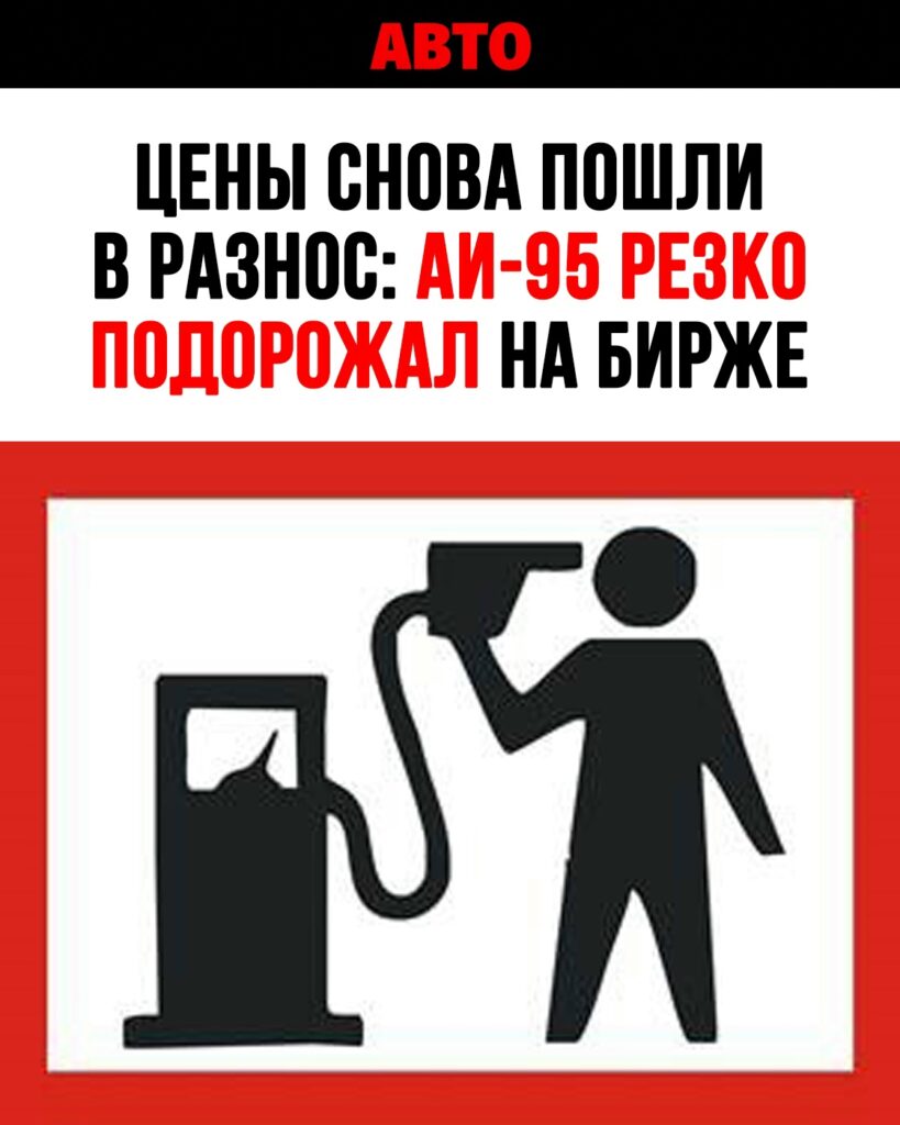 Внезапный рост цен на бензин АИ-95 и меры государства для стабилизации рынка топлива