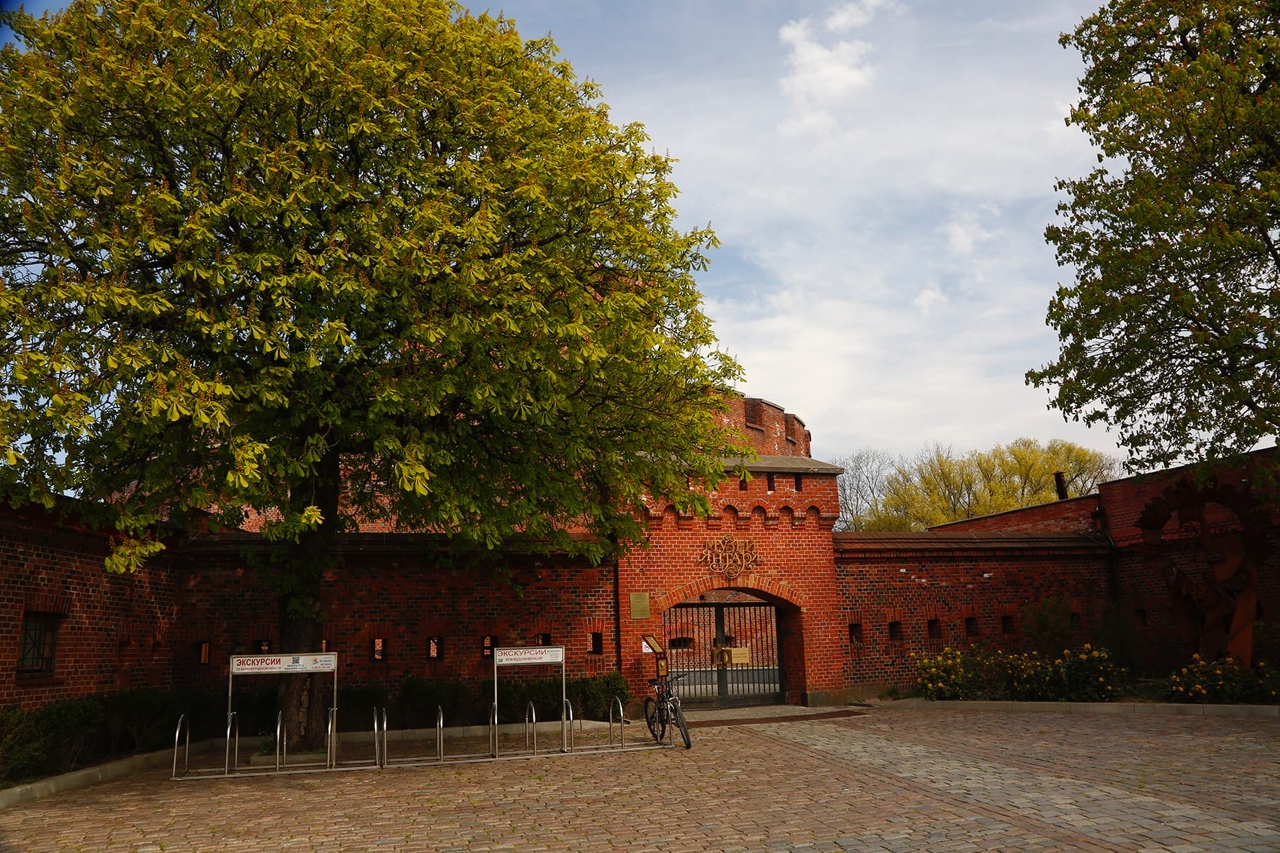 Башня дона и музей янтаря в калининграде