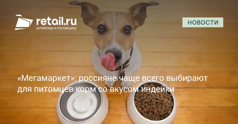 Кошки обеспечили 70% заказов кормов для животных на «Мегамаркете»