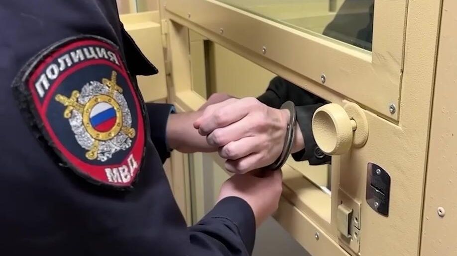 Суд приговорил семерых фигурантов дела о хищениях в «Шереметьево»