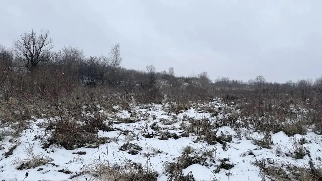 В Новосибирской области нашли погибшими двух пропавших подростков