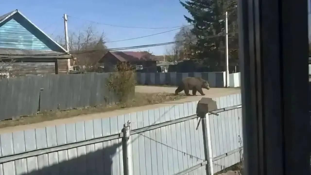 В Москве девушку оштрафовали за полицейскую форму на съемках танцевального видео