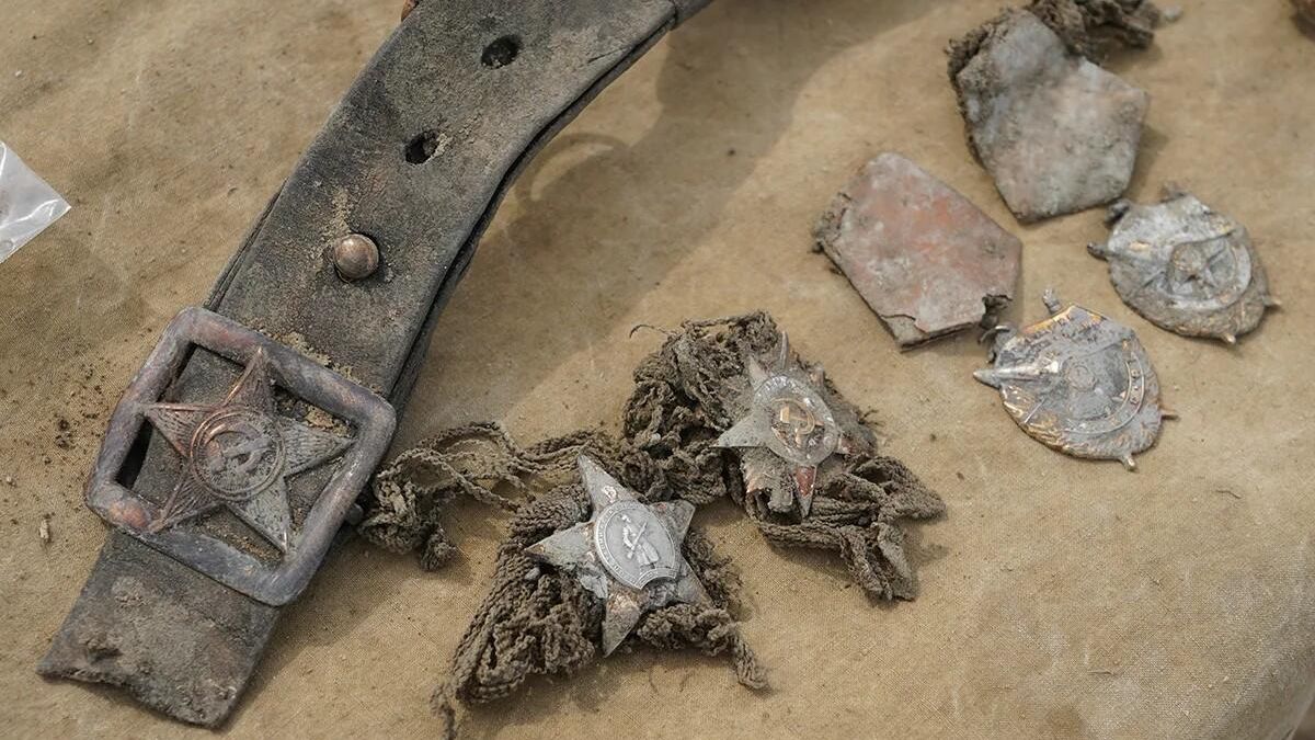 В Псковской области обнаружили останки почти 250 человек