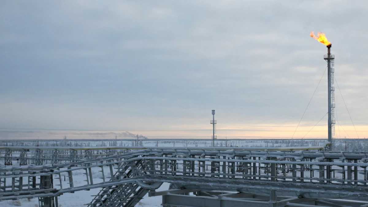 Советник президента РФ заявил о наступлении «золотого века» газа