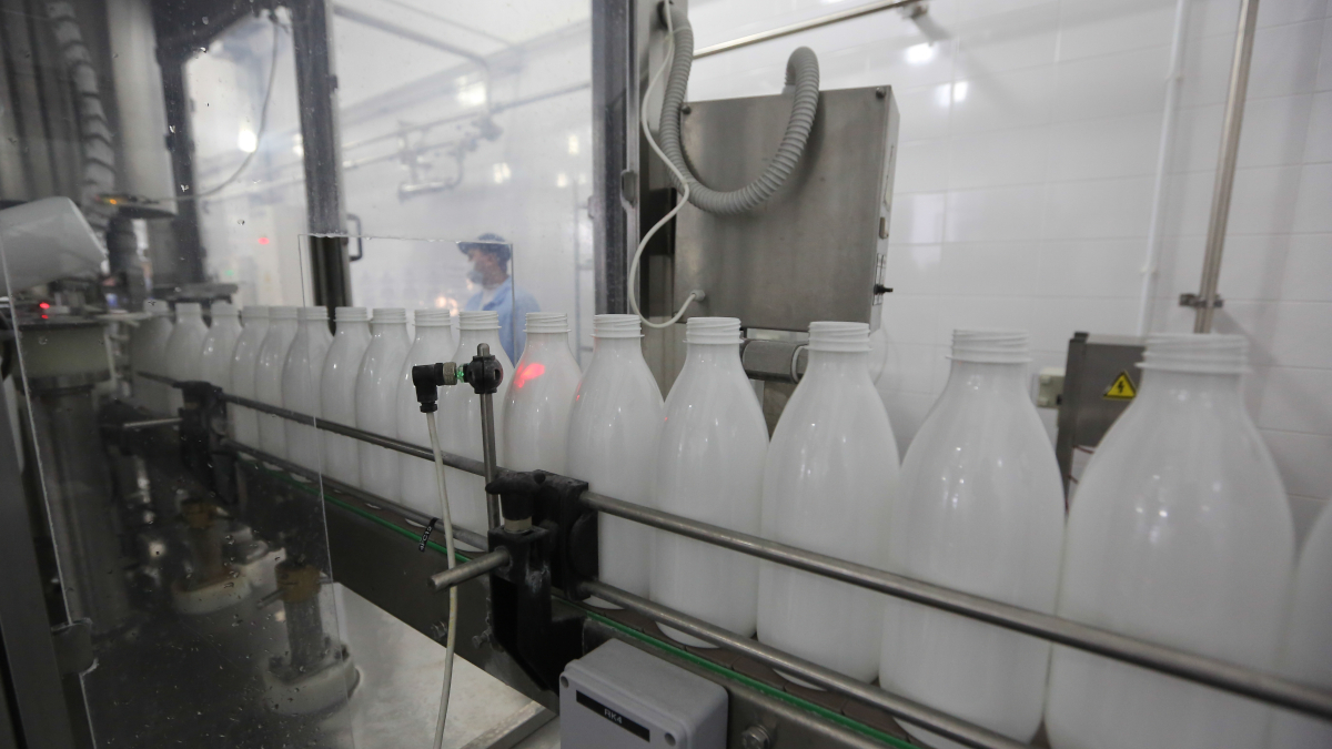 Россия нарастила экспорт упакованного молока и сливок на 11%
