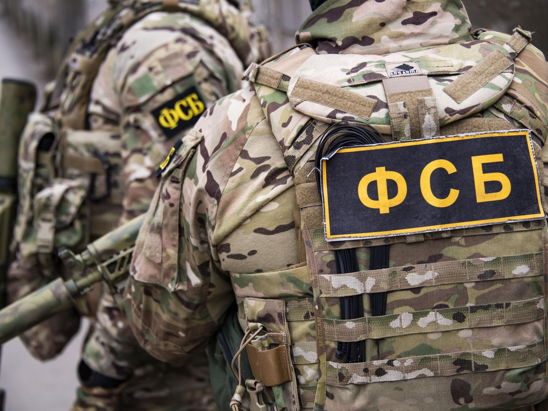 ФСБ сообщила о задержании в Псковской области гражданина Швеции