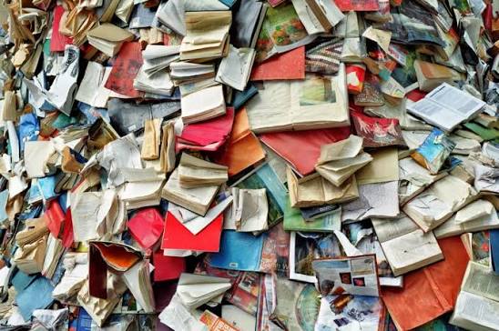 Писательница из ЮАР выпустила 370 книг с помощью ИИ за несколько месяцев