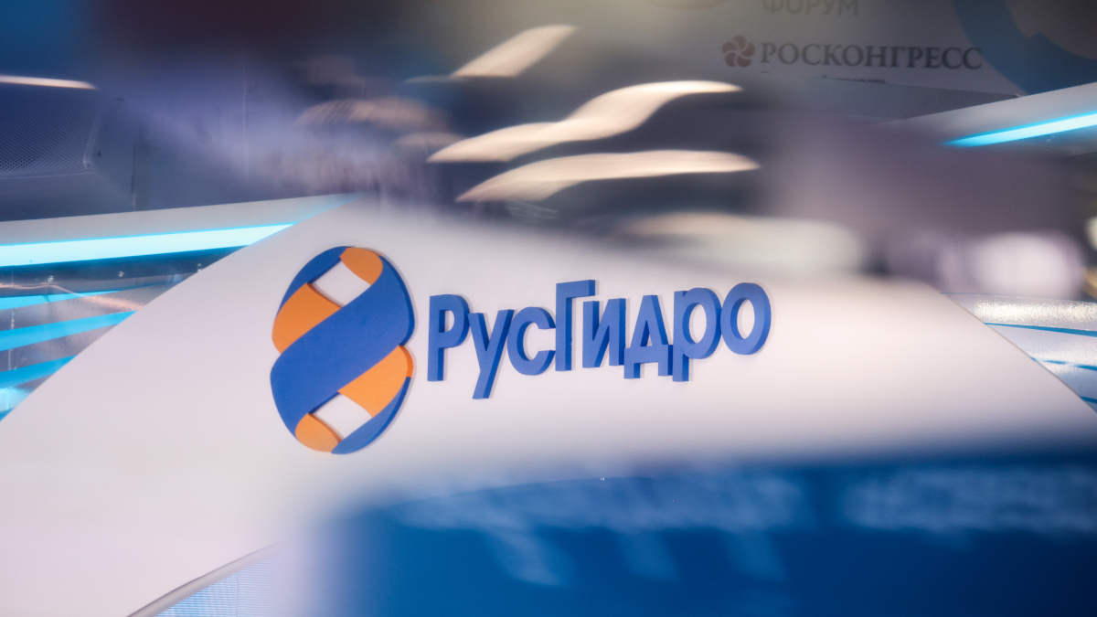 «Русгидро» изучает расширение сотрудничества более чем с 20 странами Африки