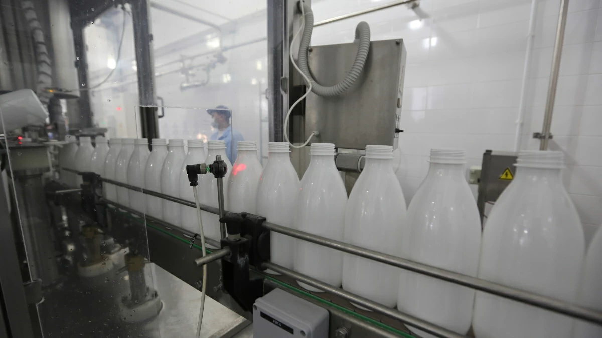 Россия нарастила экспорт упакованного молока и сливок на 11%