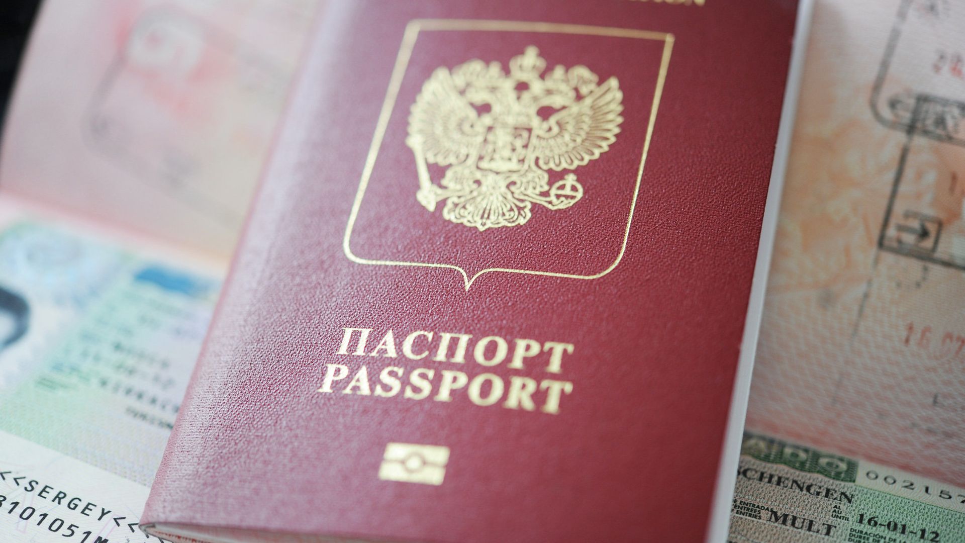 Депутат Европарламента призвал прекратить выдачу всех виз гражданам России