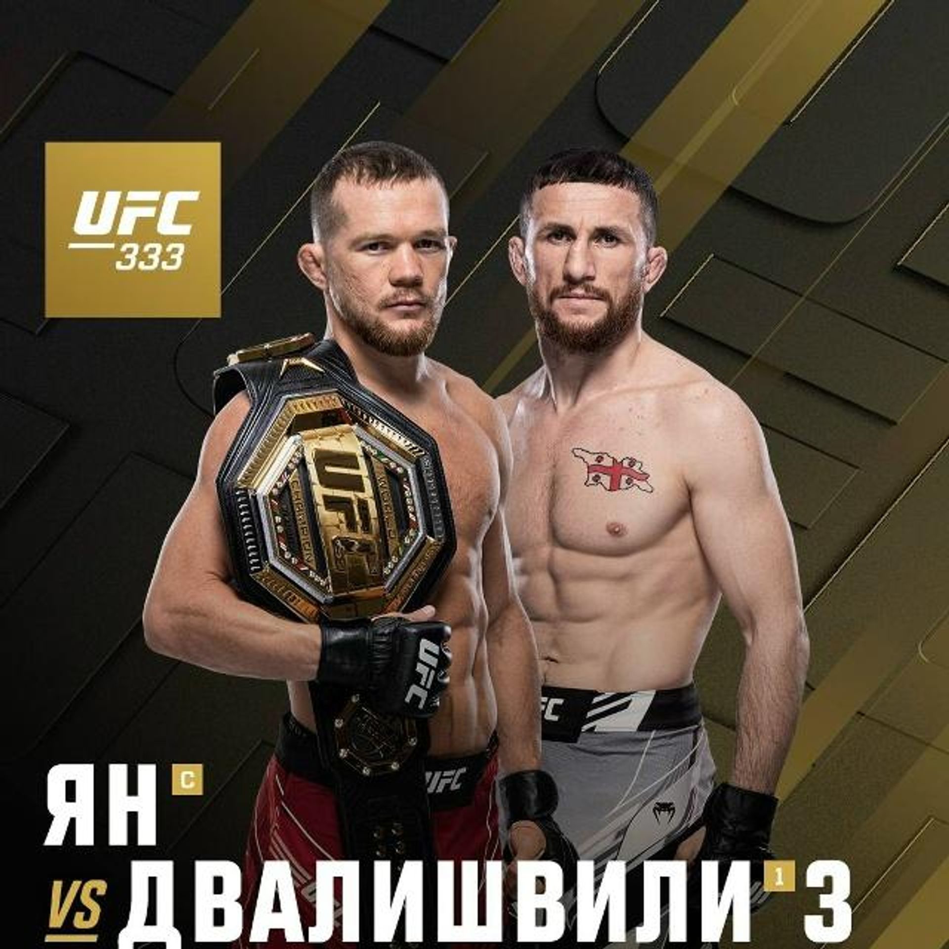 Пётр Ян победил Мераба Двалишвили и защитил титул UFC