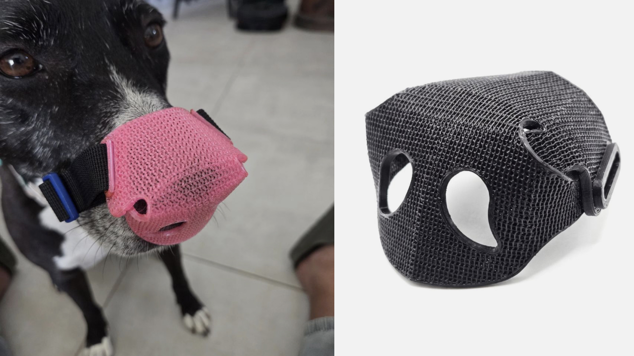 3D-печатные накладки для собак: проект SnoutCover обслужил более 500 питомцев