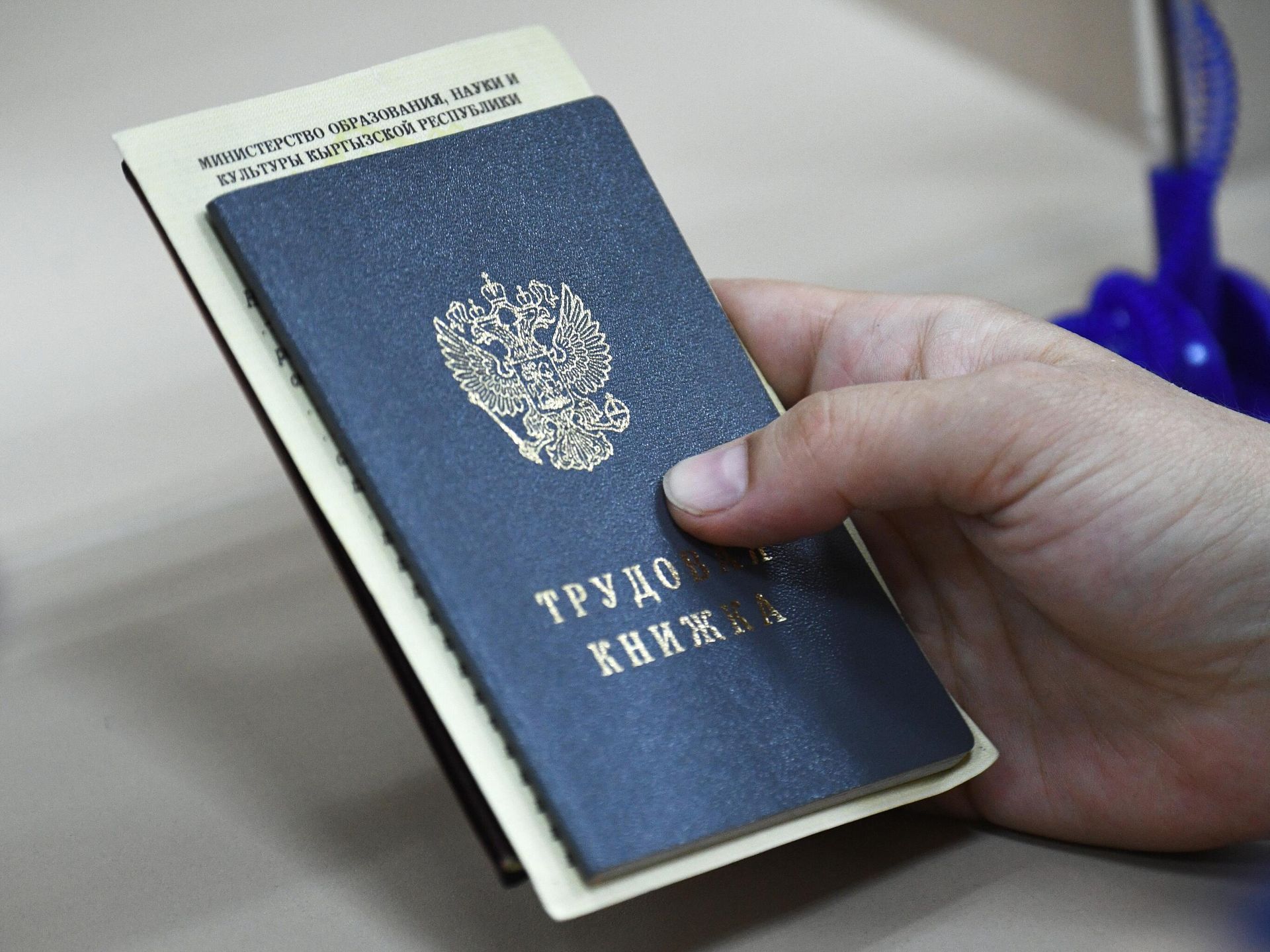 Роструд: более 610 тысяч работников вышли из тени за первое полугодие 2026 года