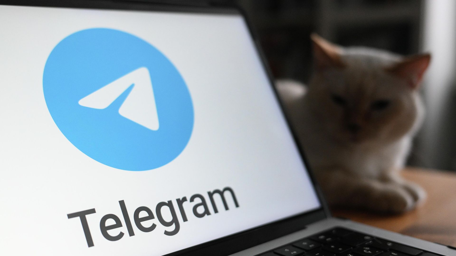 В Австралии подали коллективный иск к Meta из-за вреда детям от Facebook и Instagram