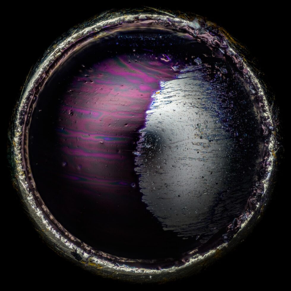 Капли чернил в полёте: немецкий фотограф победил в Nikon Small World 2026
