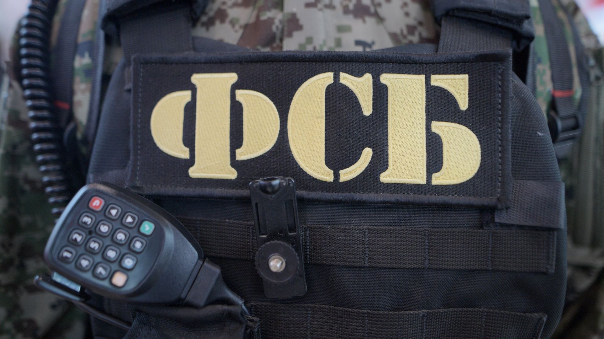 Жительницу Хабаровска приговорили к 12,5 года за государственную измену