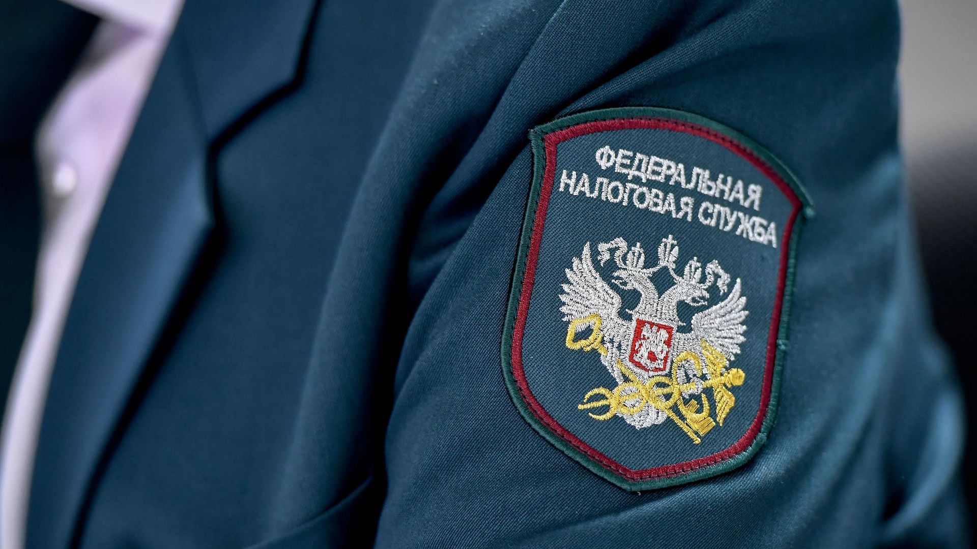 Какие налоги нужно заплатить россиянам до 1 декабря