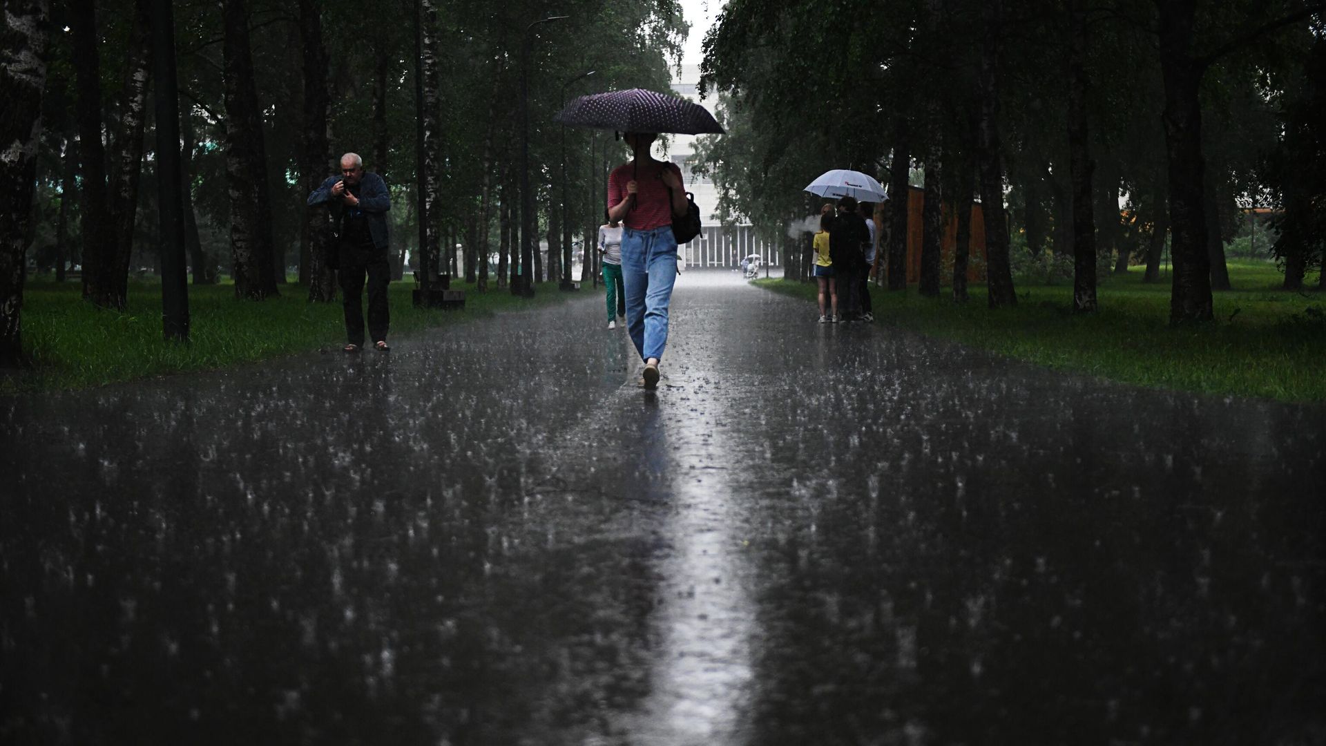 После похолодания в Москве снова потеплеет до +16 градусов
