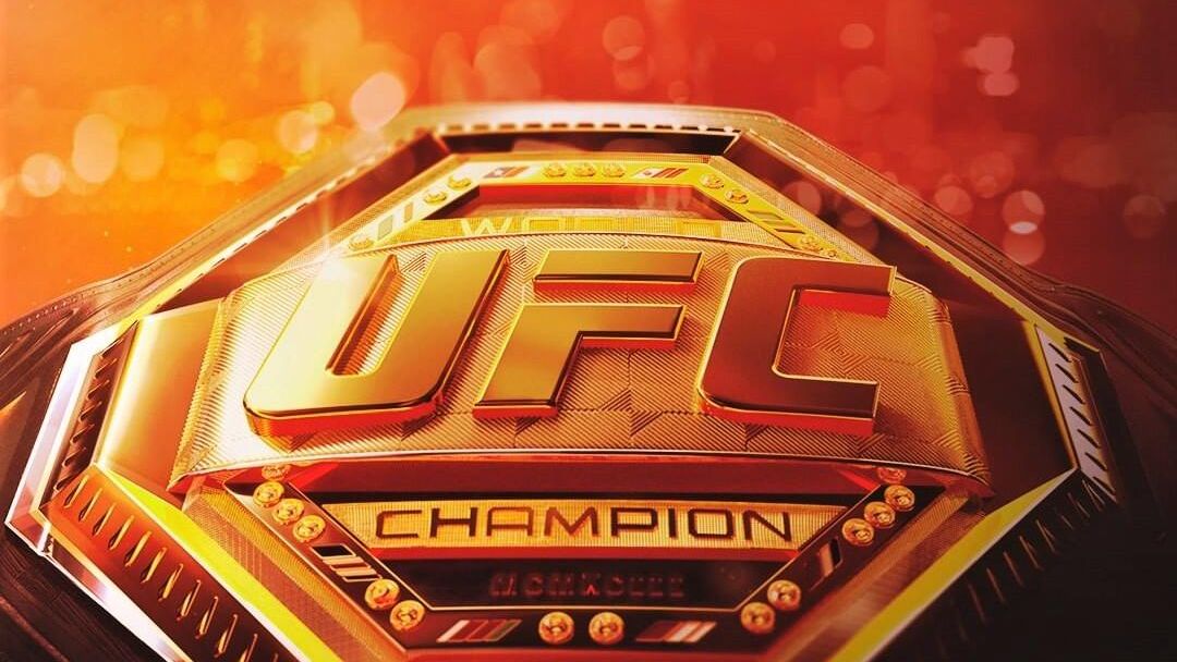 Александр Волков победил Ризвана Куниева на турнире UFC 333