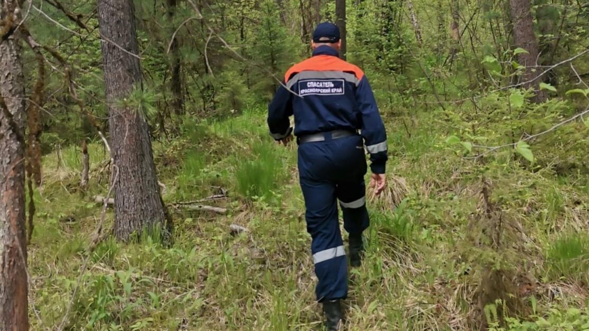 Нейросеть проанализировала более 90 тысяч снимков с поисков семьи Усольцевых