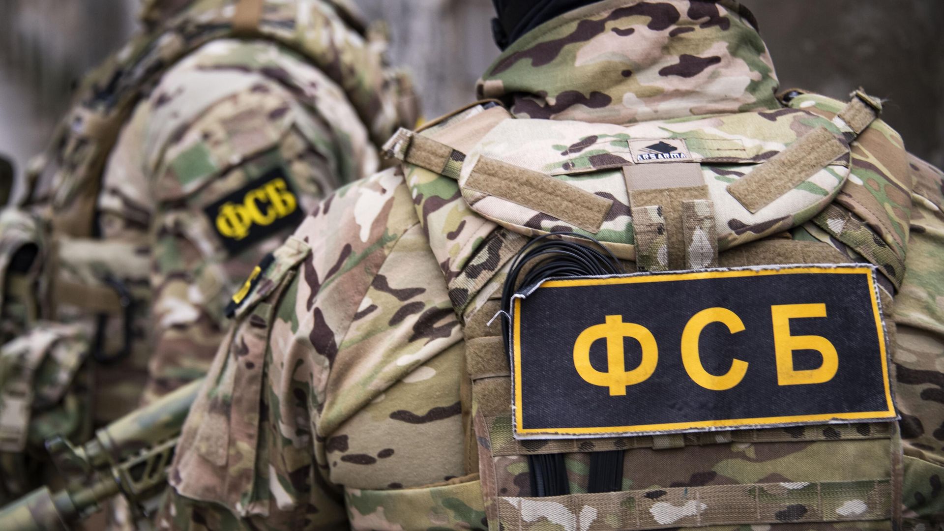 ФСБ: задержанный в Псковской области швед был волонтером организации Foreign Legion