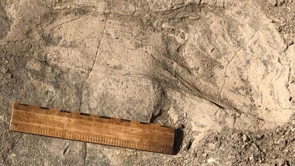 В Кении проповедника признали виновным в гибели 191 человека