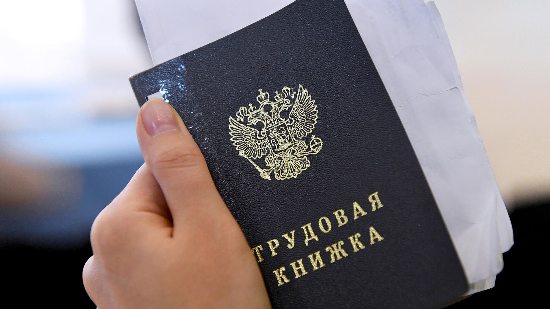 Зарплата и адекватное руководство стали главными критериями выбора работы для россиян