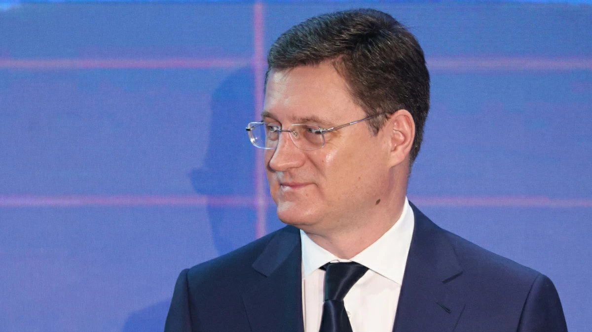 Новак заявил о прогрессе России в импортозамещении энергетики