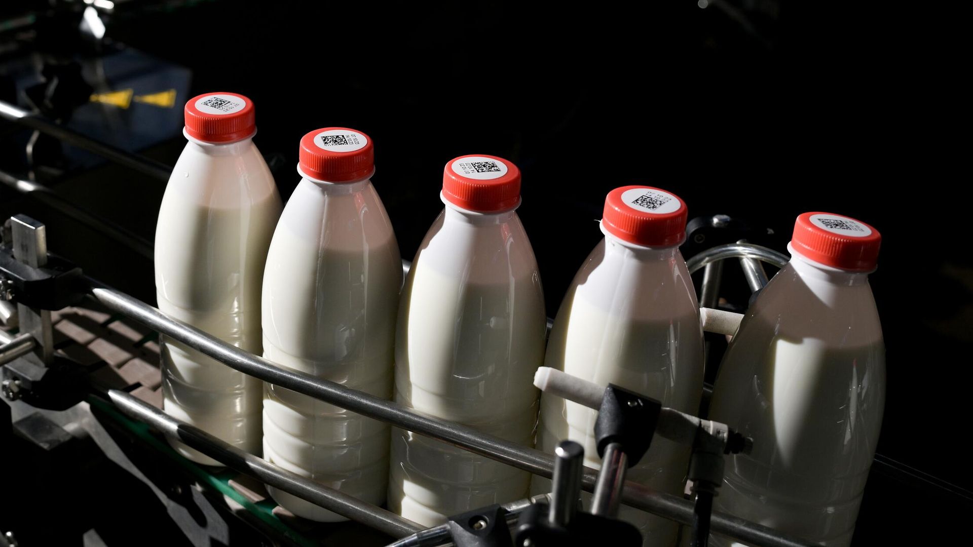 Россия готовит поставки халяльной продукции в Индонезию