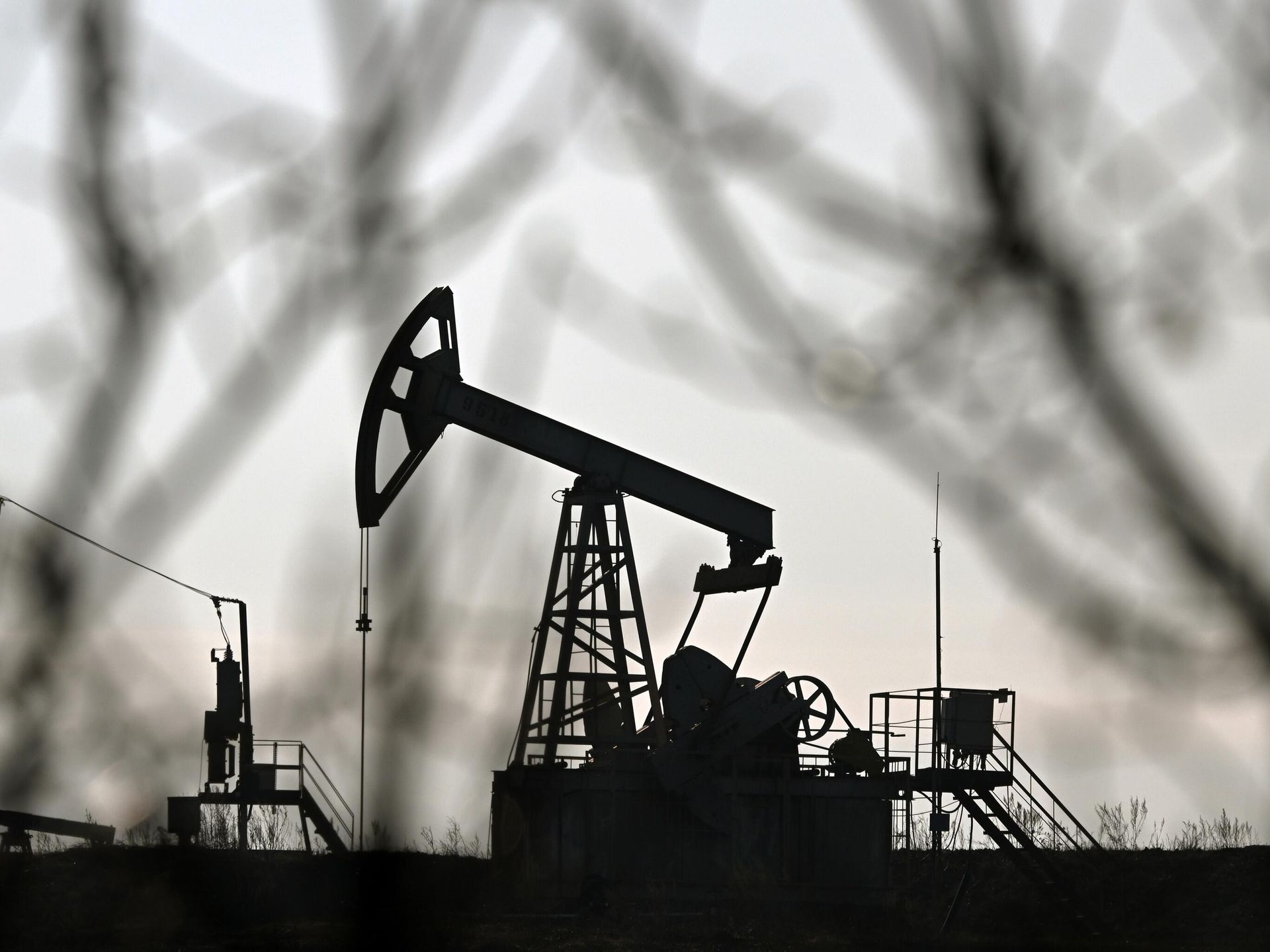 В Германии нефтепродукты за год подорожали более чем на 50%