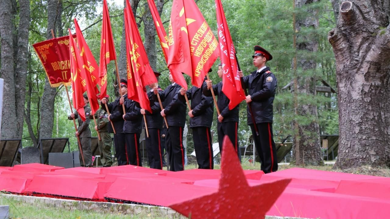 В Псковской области обнаружили останки почти 250 человек